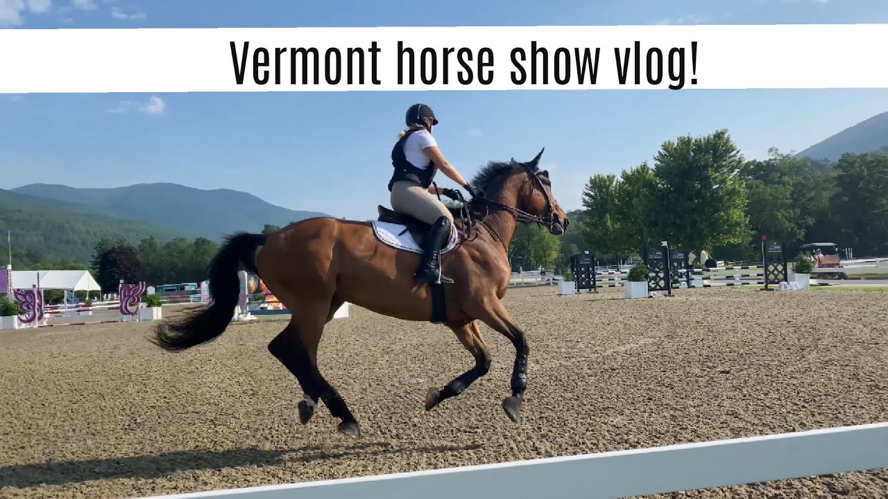 Vermont summer festival horse show vlog!