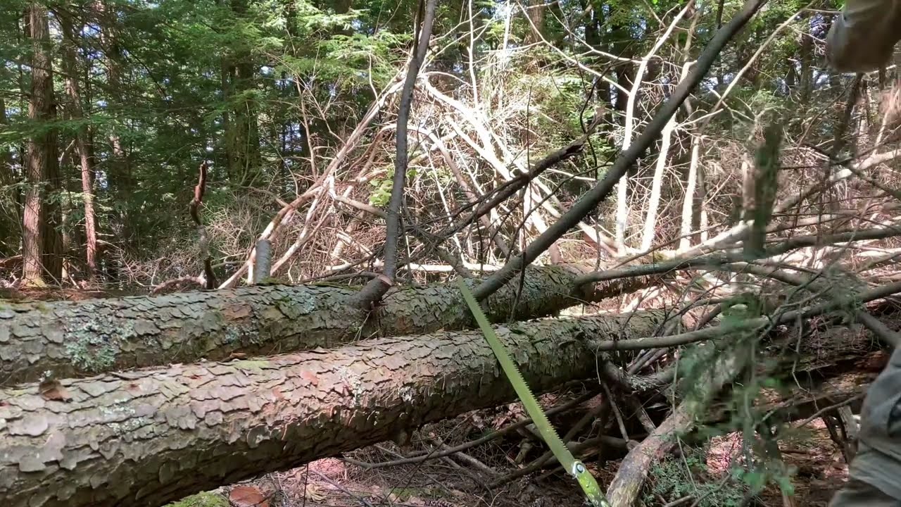 Shelving Rock - Ridge Trail - Trail Maintenance