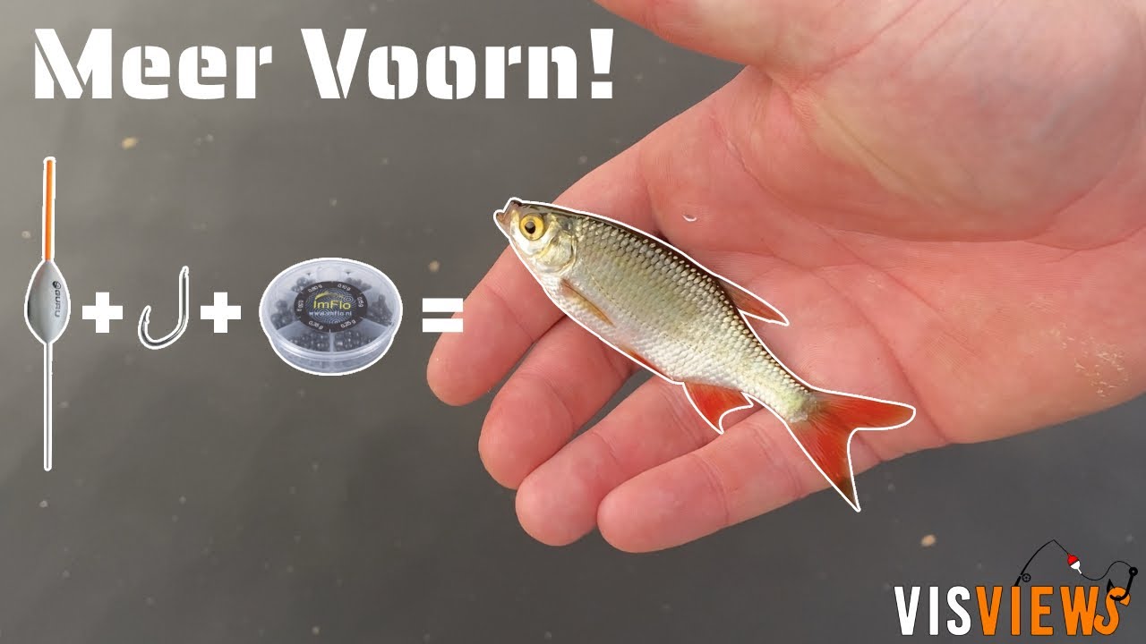 VISSEN OP VOORN! Hoe Maak Je Een Dobber Montage Voor De Werphengel En Vaste Stok