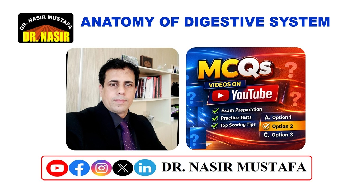 Digestive System Anatomy MCQs | Anatomy Lecture Quiz 🧠🍎