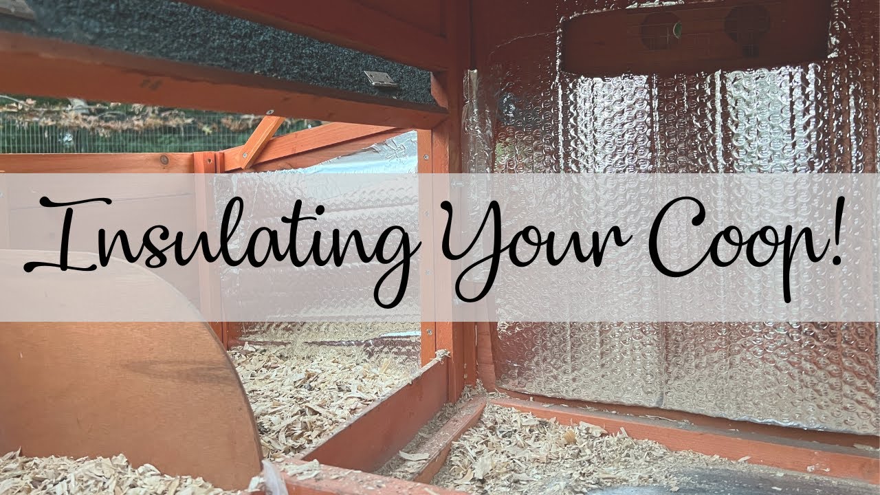 Insulating Your Coop!