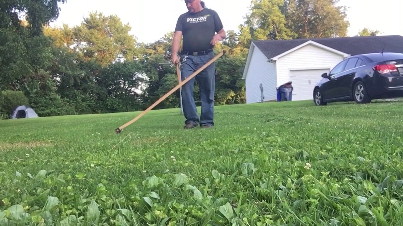 Scything the lawn