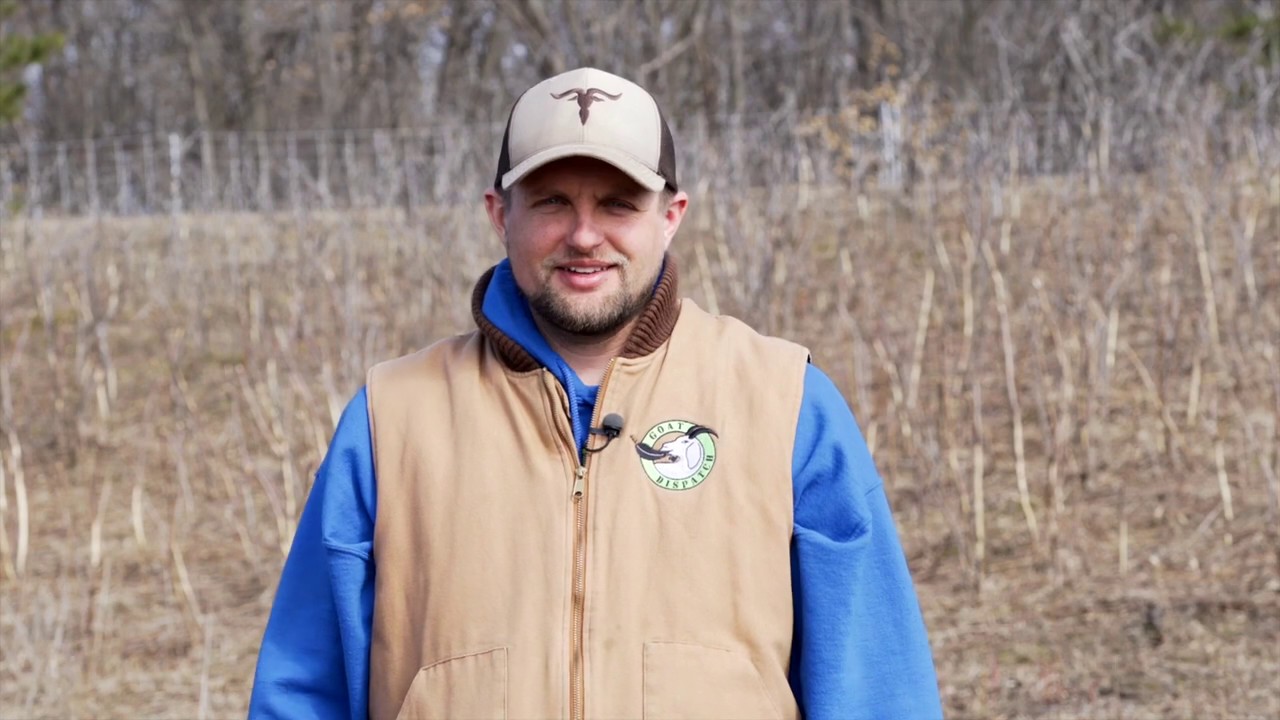 Winter Grazing of Goats - Minnesota Sustainability Grant - Part 2 of 2 -  Final Report 2019