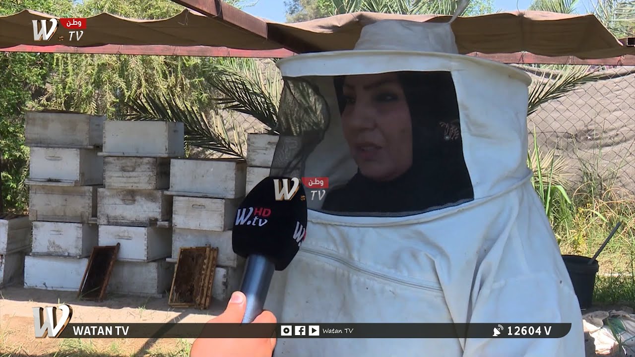 بابل.. امرأة تقود جيشا من النحل وتتحدى مصاعب القيادة