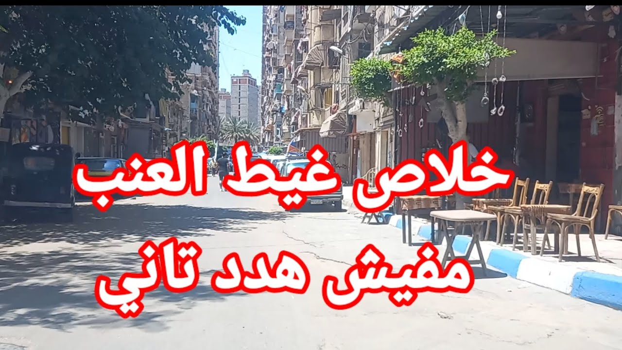مش معقول غيط العنب مفيش هدد تاني كدة كفاية وشارع الطابية ومحور المحمودية اسكندريه الآن