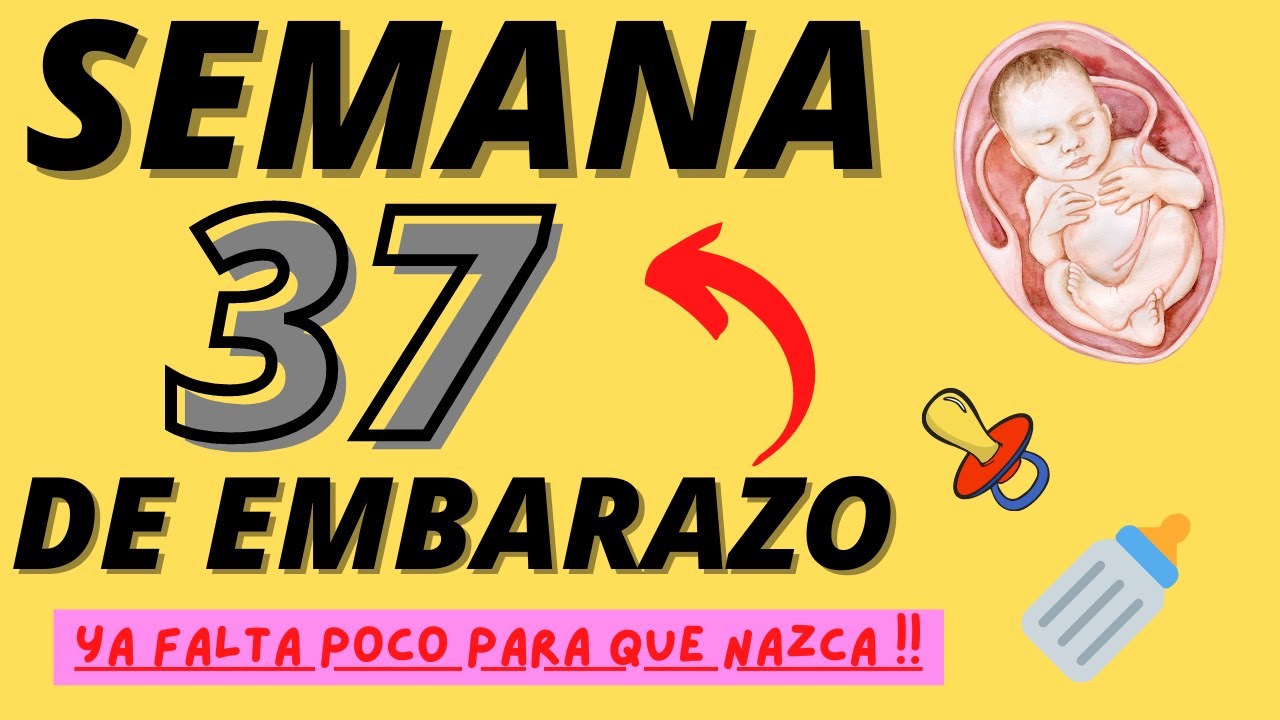 Semana 37 de EMBARAZO (Noveno mes) SEMANA a SEMANA