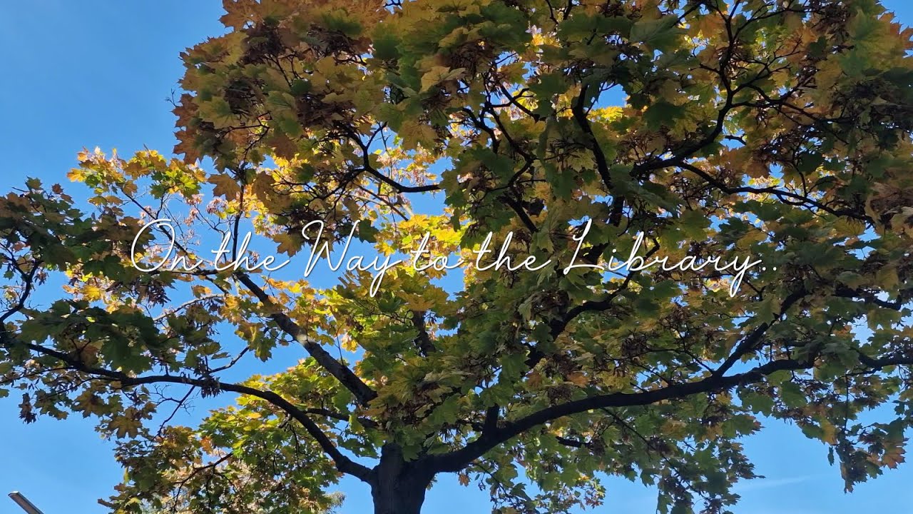 Cinematic Silent Vlog - Day in Autumn - Slow Living in Berlin 2022 [4k UHD]