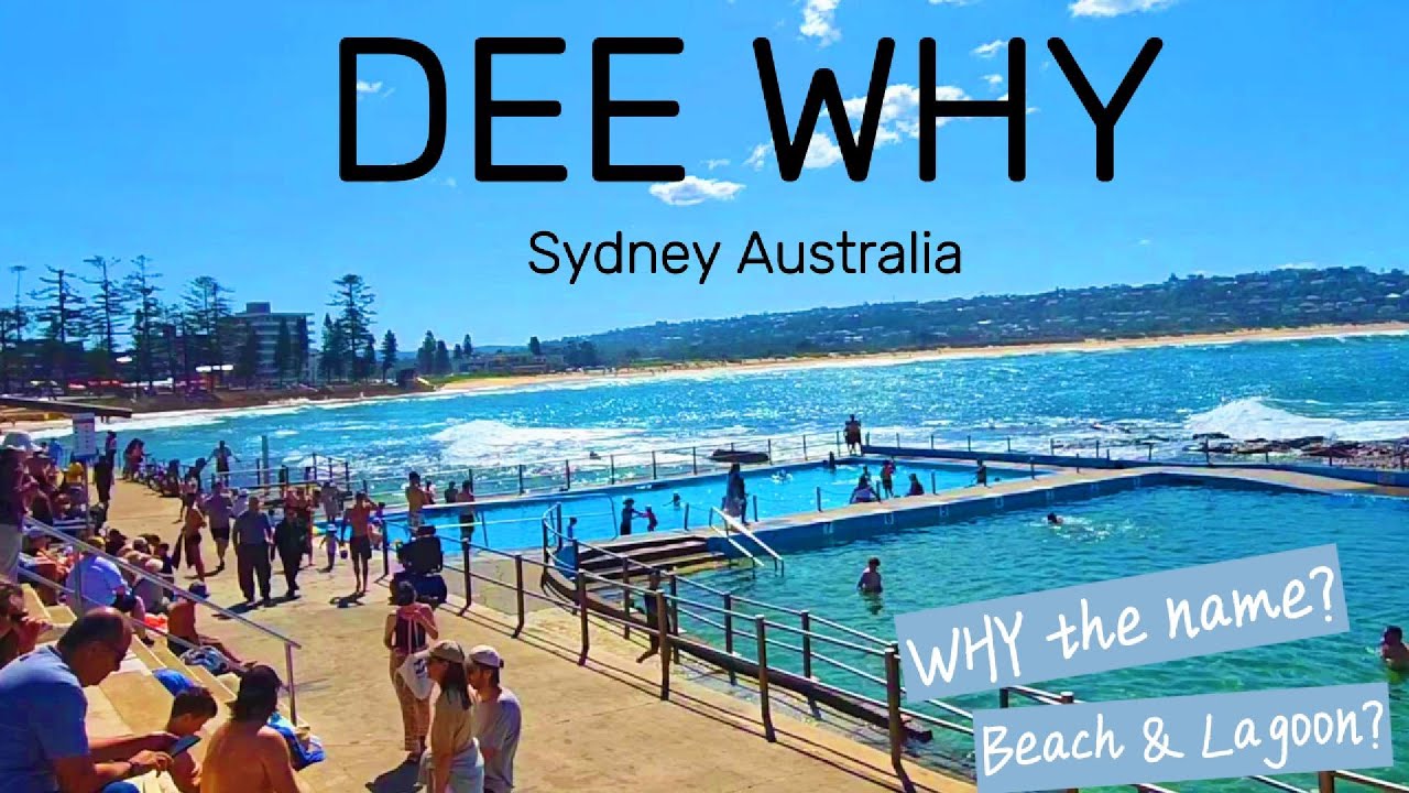 WOULD YOU LIVE HERE? DeeWhy Sydney Australia| (WalkingTour 2025)