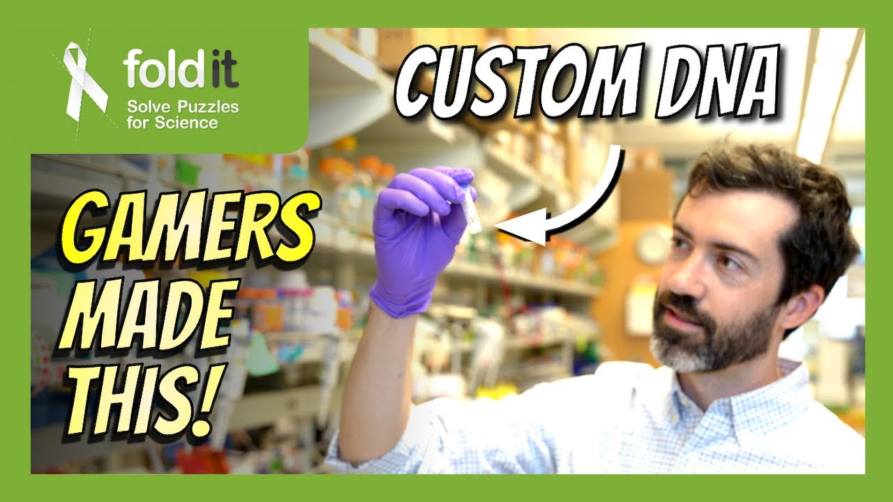 From DNA to protein (Part 1) – Lab Report 34