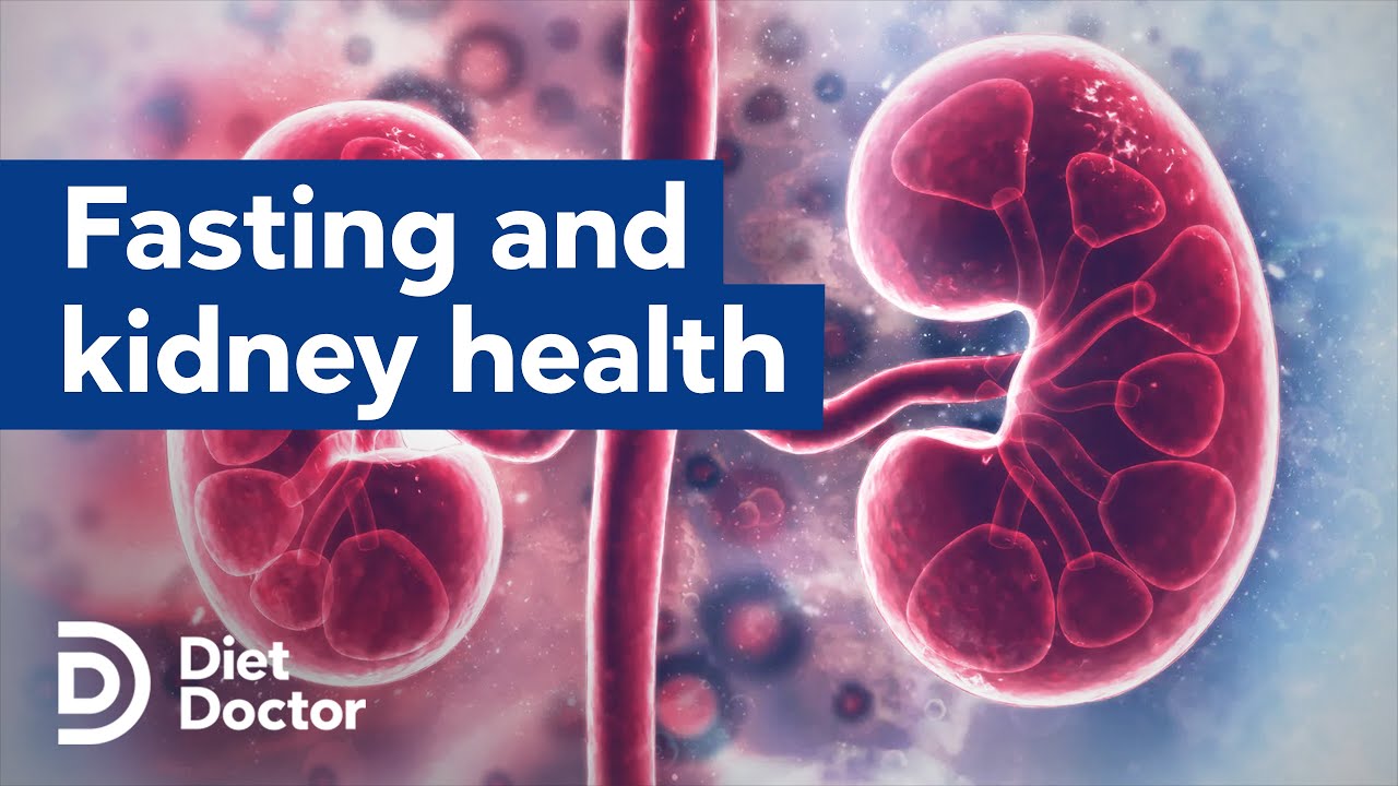 Fasting may help kidney function