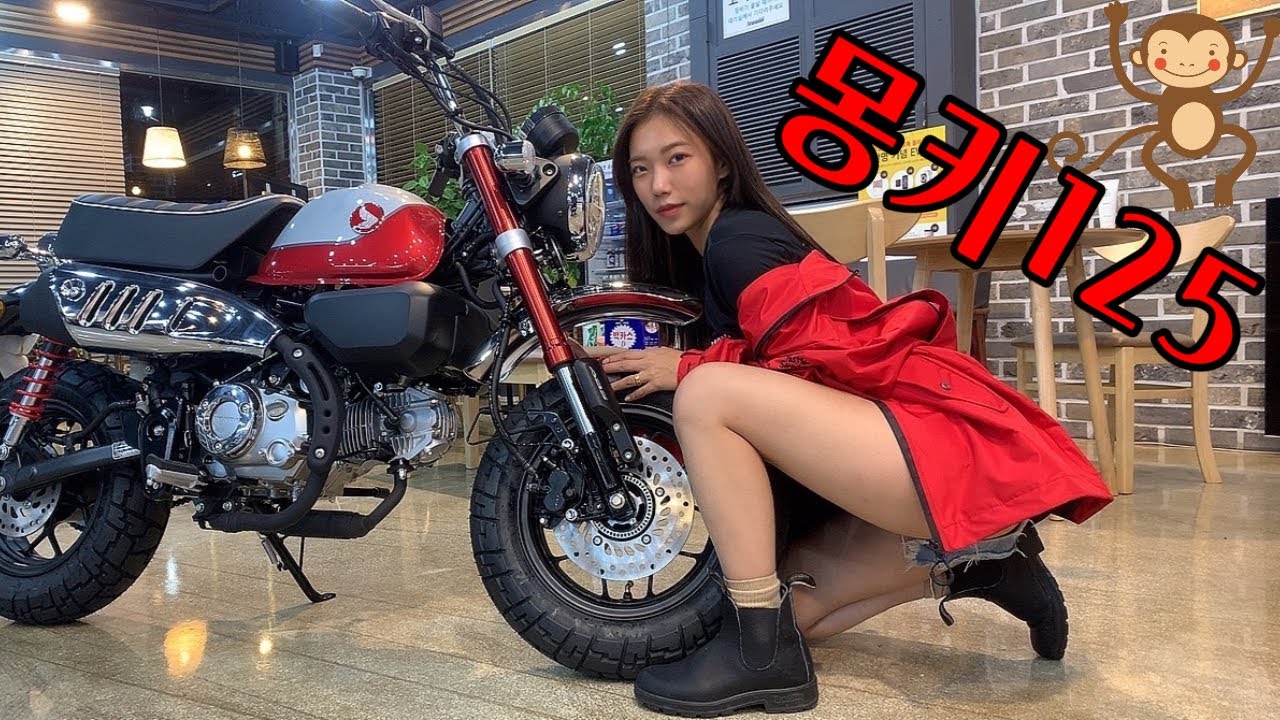 2022 Honda Monkey125🐒🏍 | Msx125 비교 | 몽키 시트고