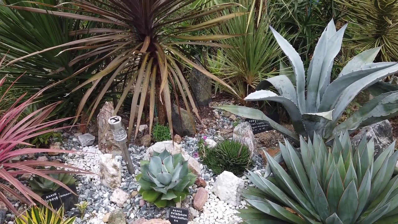 Le jardin de Marie