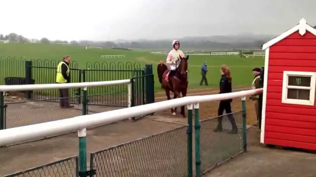 Bordini - Rich Ricci's novice hurdler for 15/16 season  ?