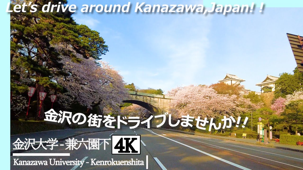 【石川県民ドライブ 4K】桜道ドライブ!!金沢大学-兼六園下【Drive 4K】Kanazawa University - Kenrokuenshita