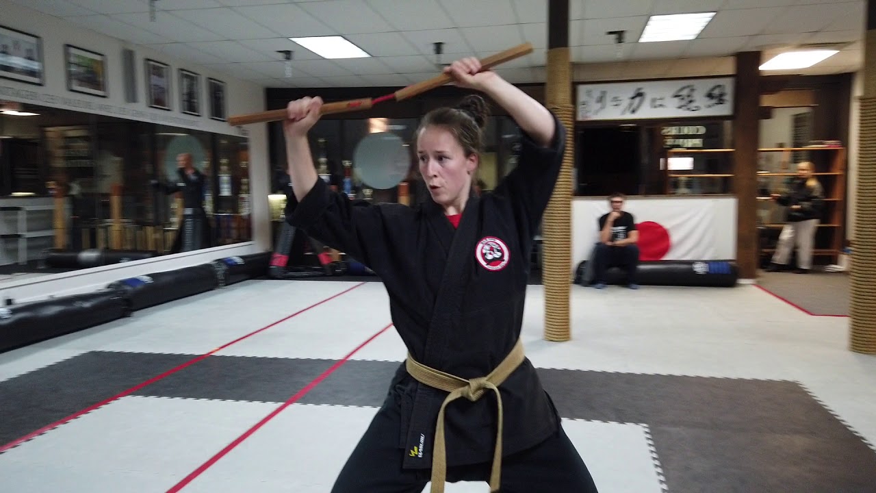 Unlocking the Secrets of Ryukyu Kobudo Nunchaku Techniques