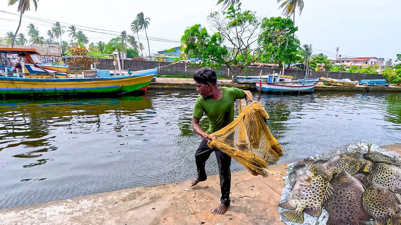 ASMR River Fishing The Sound of a Perfect Net Hit!