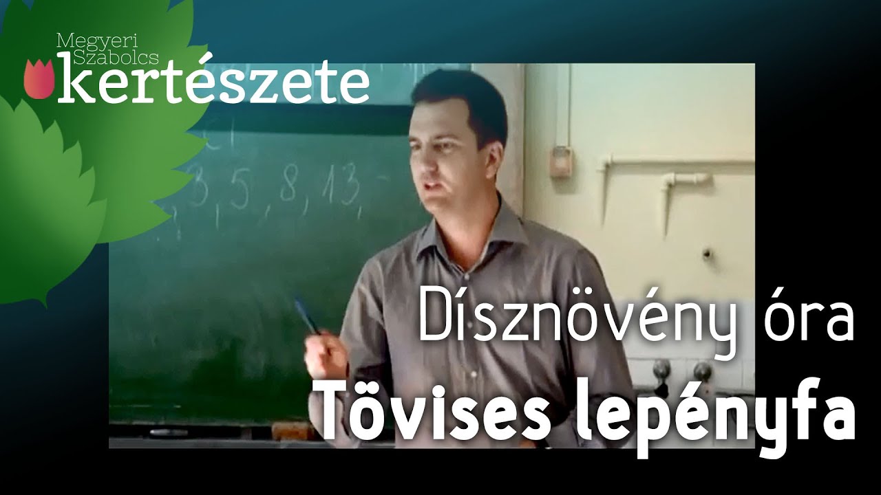 Dísznövény óra: Gleditsia triacanthos - Tövises lepényfa - Növényismeret