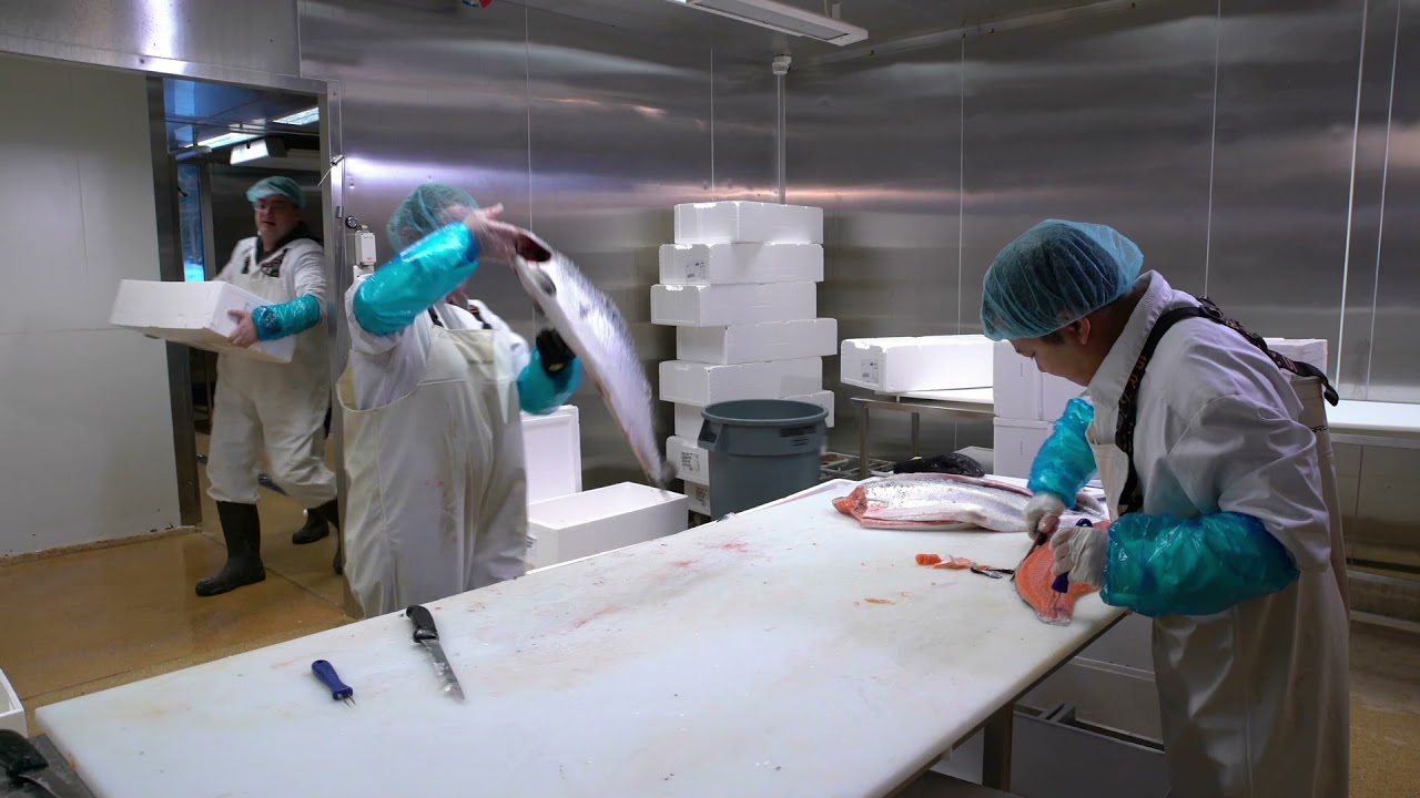 HACCP (ჰასპი) და სურსათის უვნებლობა