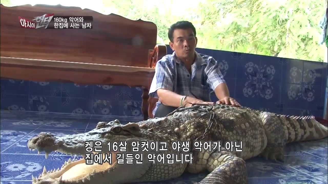 160kg 악어와 16년동안 동거하는 남자!_[아시아헌터_태국]
