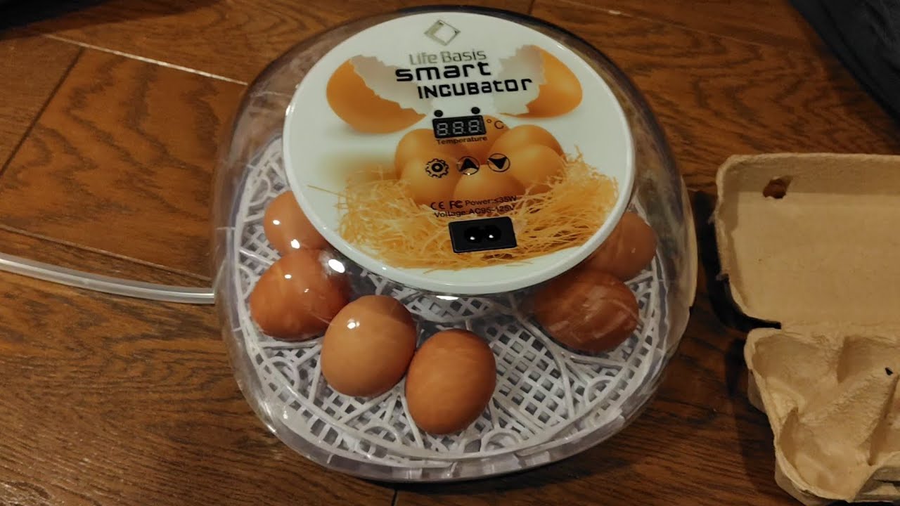 遂に養鶏スタートです！