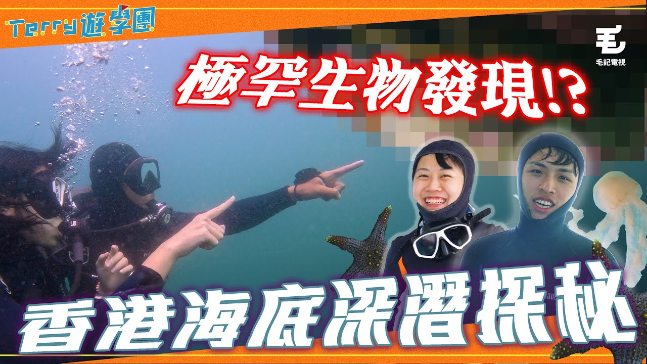 Charlie潛水初體驗😚被香港水底驚艷😱《Terry遊學團》香港海底深潛探秘