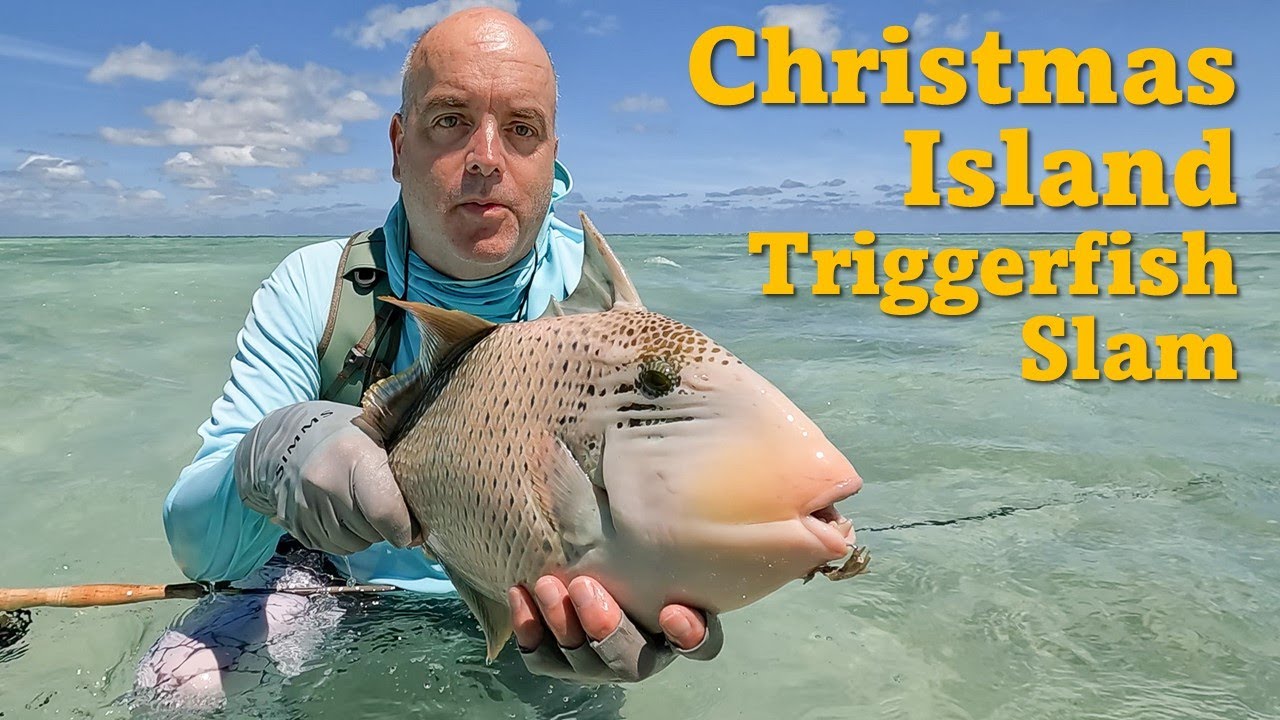 Christmas Island (Kiritimati) Fly Fishing Triggerfish Slam - 3 Species!