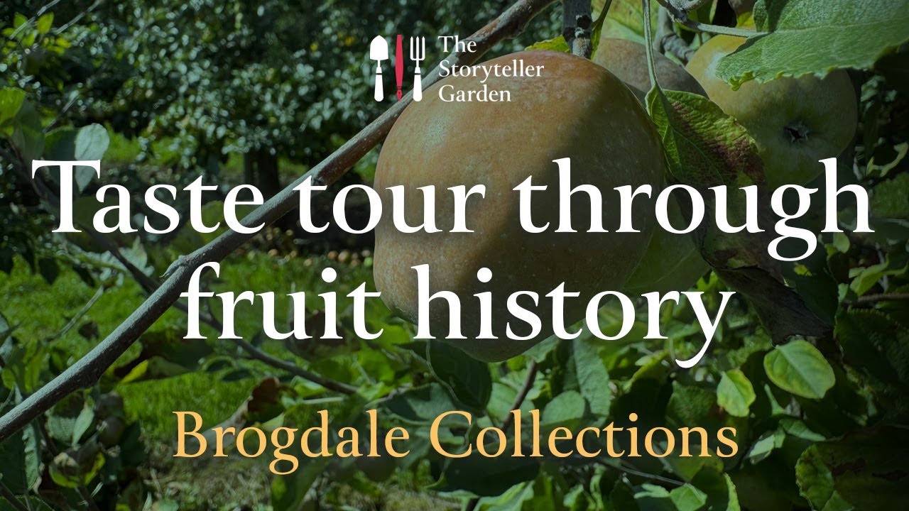 A taste tour through fruit history at Brogdale Collections