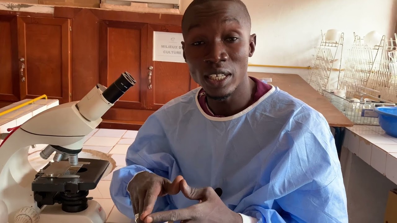 Coprologie parasitaire  détaillé( selles POK ) état frais et Kato case