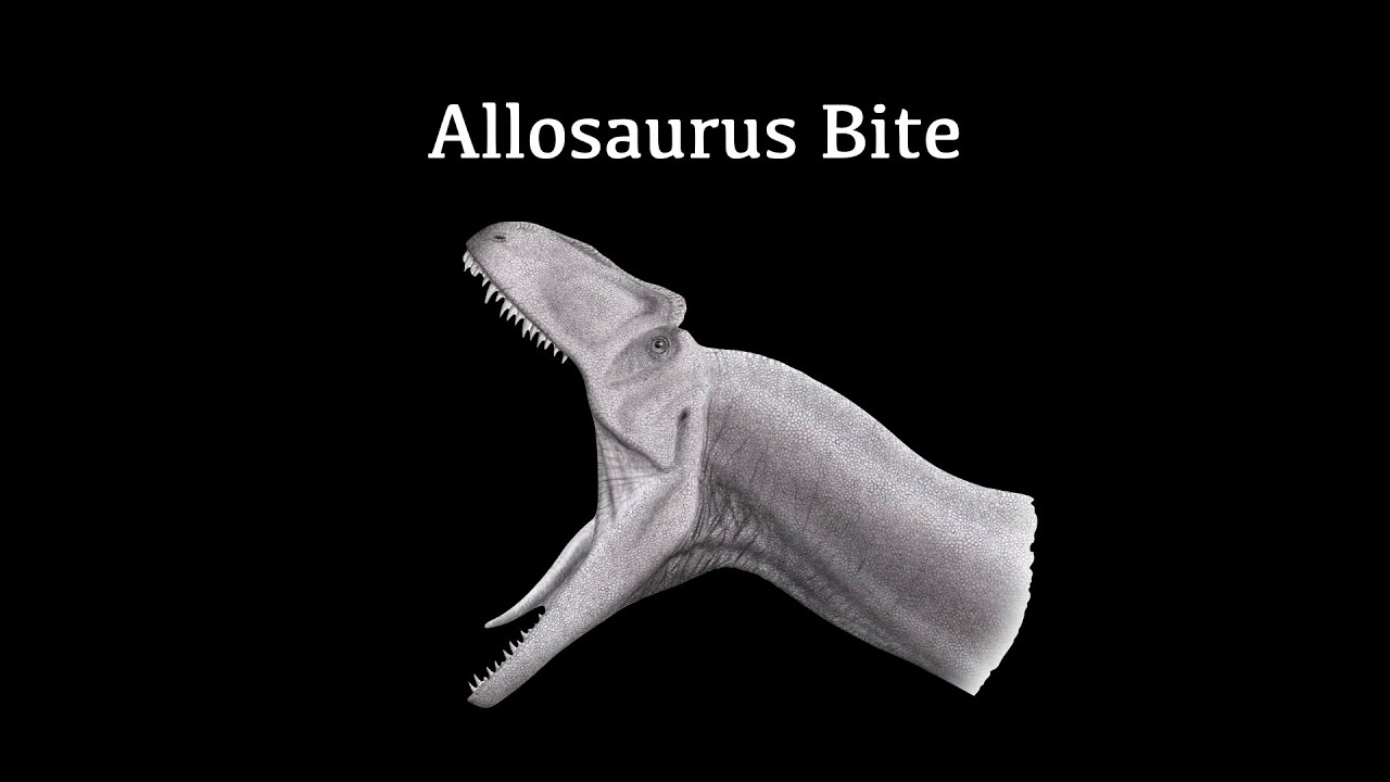Allosaurus Bite