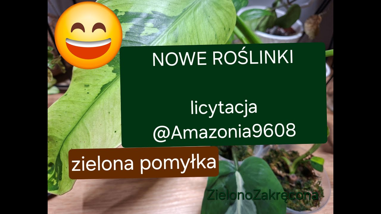📦💚WYJĄTKOWA ZIELONA PACZKA - wieczorne pomyłki😉