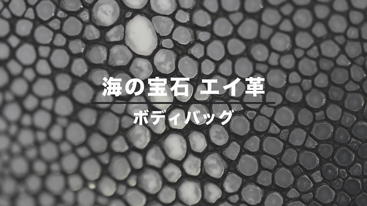 【ボディバッグ】この輝きは凄い！エイ革を使った注目間違い無しのボディバッグ【クラウドファンディング】