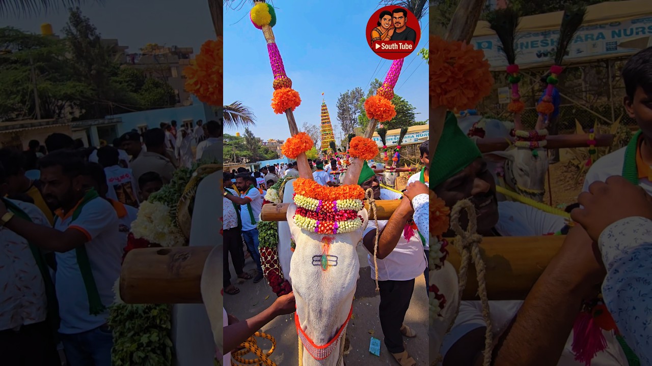 Gattahalli Chariot Procession | Huskur Madduramma Jatre 2026 #GattahalliChariot