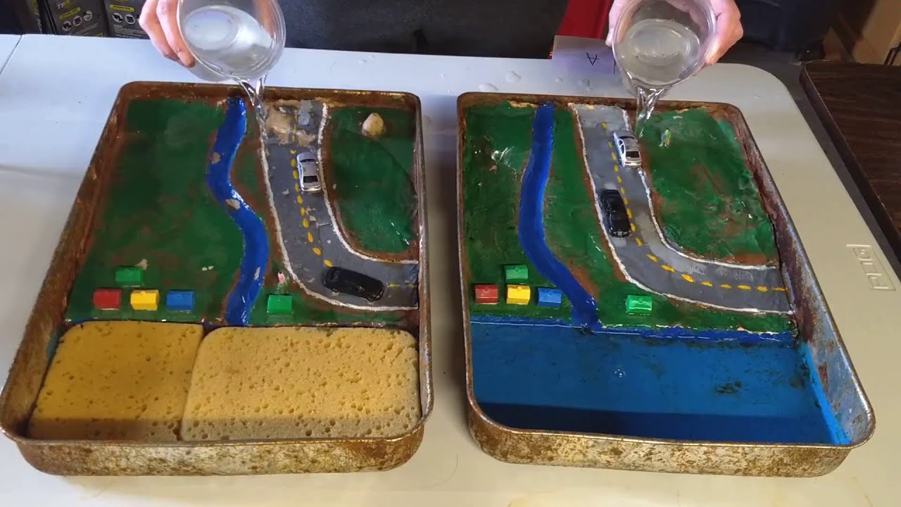 How Wetlands Work