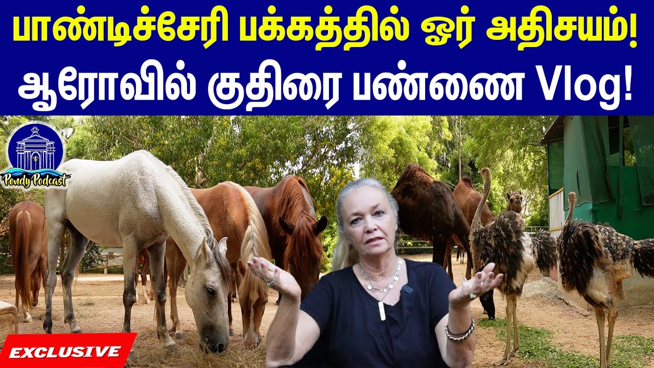 பாண்டிச்சேரி பக்கத்தில் ஓர் அதிசயம்! ஆரோவில் குதிரை பண்ணை Vlog! Auroville Horse Riding School Vlog