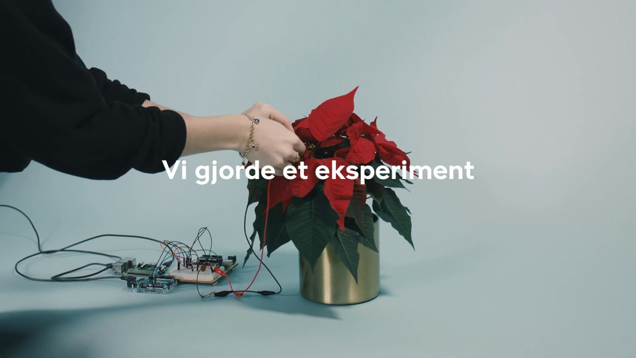 Syngende planter! Hør Plantasjens levende kor synge Glade jul.