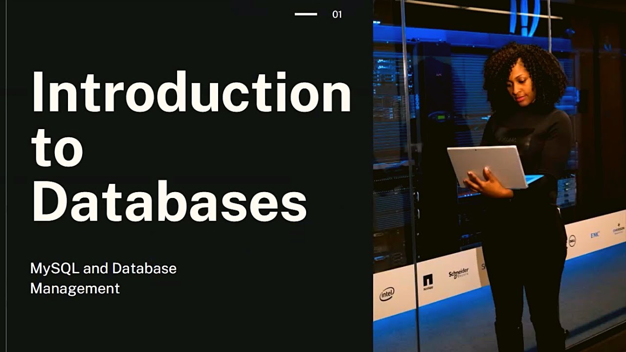 What is a Database | Getting started with MySQL step by step | SQL programming #mysql #databases