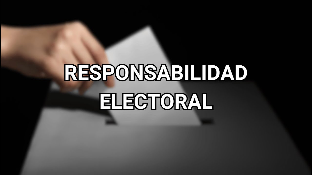 Responsabilidad electoral - Eduardo Serenellini