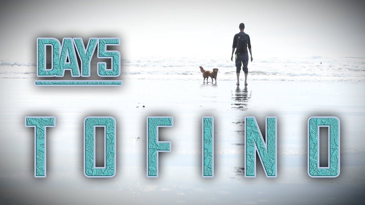 Nova Scotia Duck Toller's 1st ROAD TRIP | TOFINO