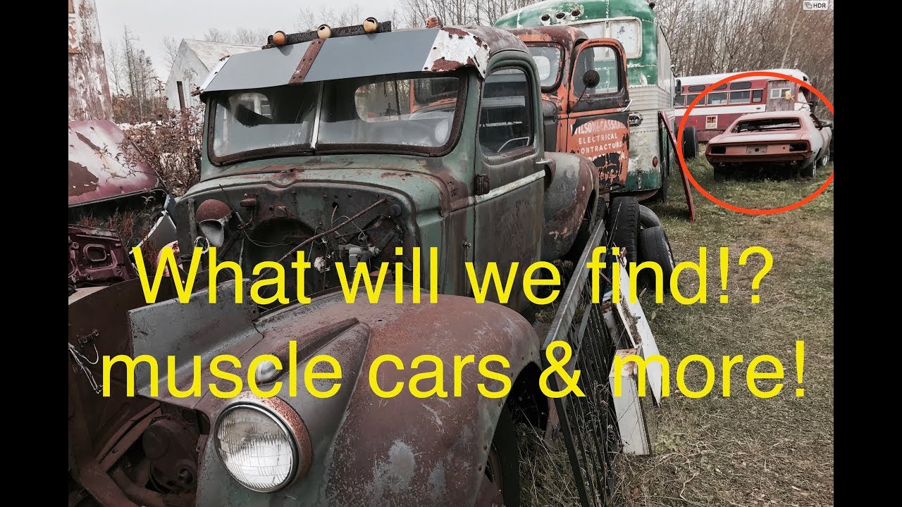 Junkyard diamonds part 3. What will we find?!? Muscle Cars, Streamlined buses & more!