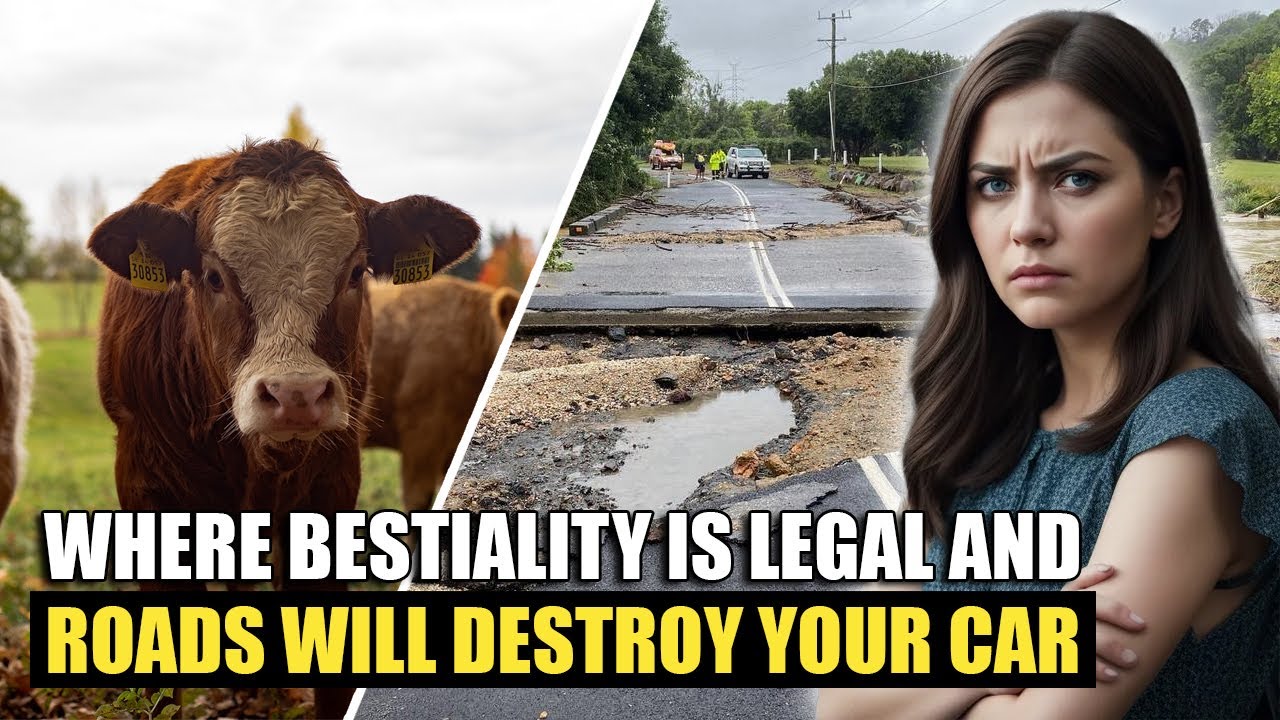 The Truth About Living in West Virginia | The Top 5 Reasons Not to Move Here