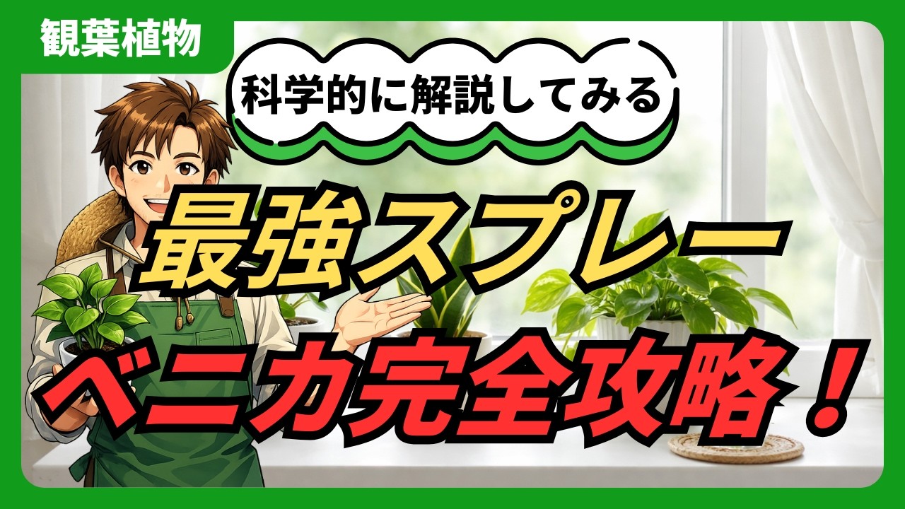 【これ1本で完結】観葉植物の救世主！ベニカスプレーが最強な理由 #観葉植物 #ベニカ #害虫対策 #園芸 #殺虫剤 