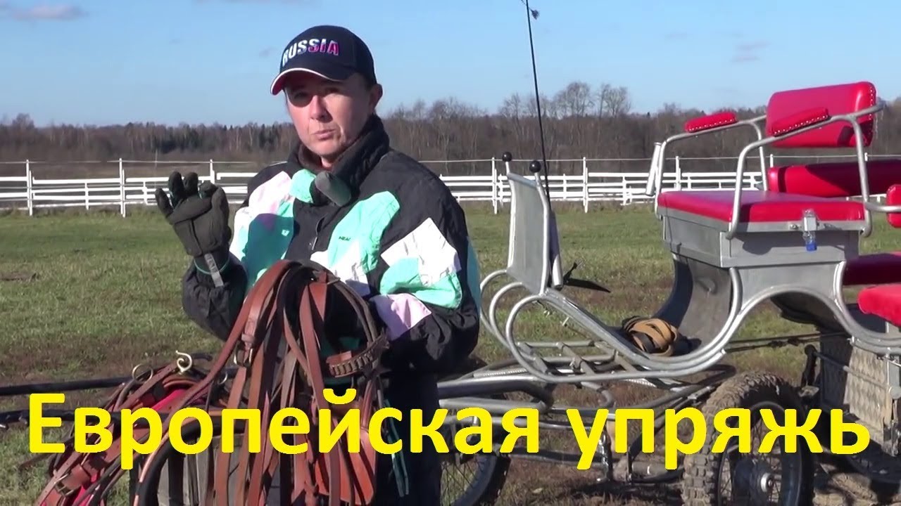 Европейская упряжь. Фильм первый. Экипаж вагонет.