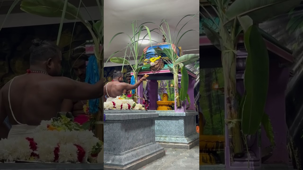 శివరాత్రి జాగారపు పూజ అభిషేకాలు mainplace maryimman temple malaysia 