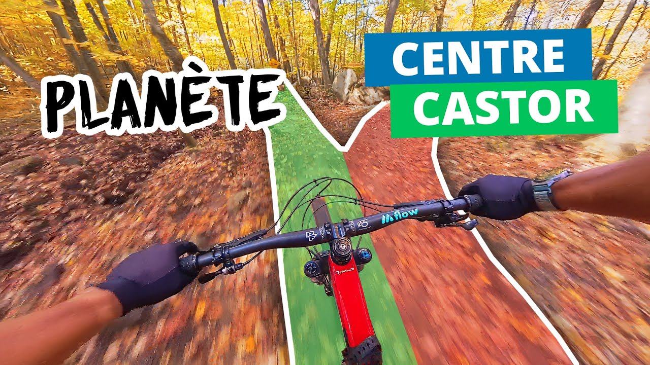 🌎 Planète, la ligne droite - Centre Castor 🦫