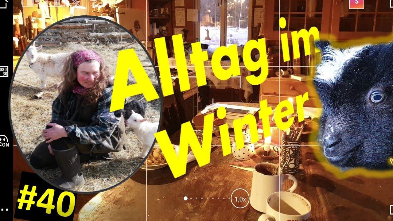 Alltag im Winter im kalten Schweden / #40 / 1 Jahr lang keine Lebensmittel einkaufen.