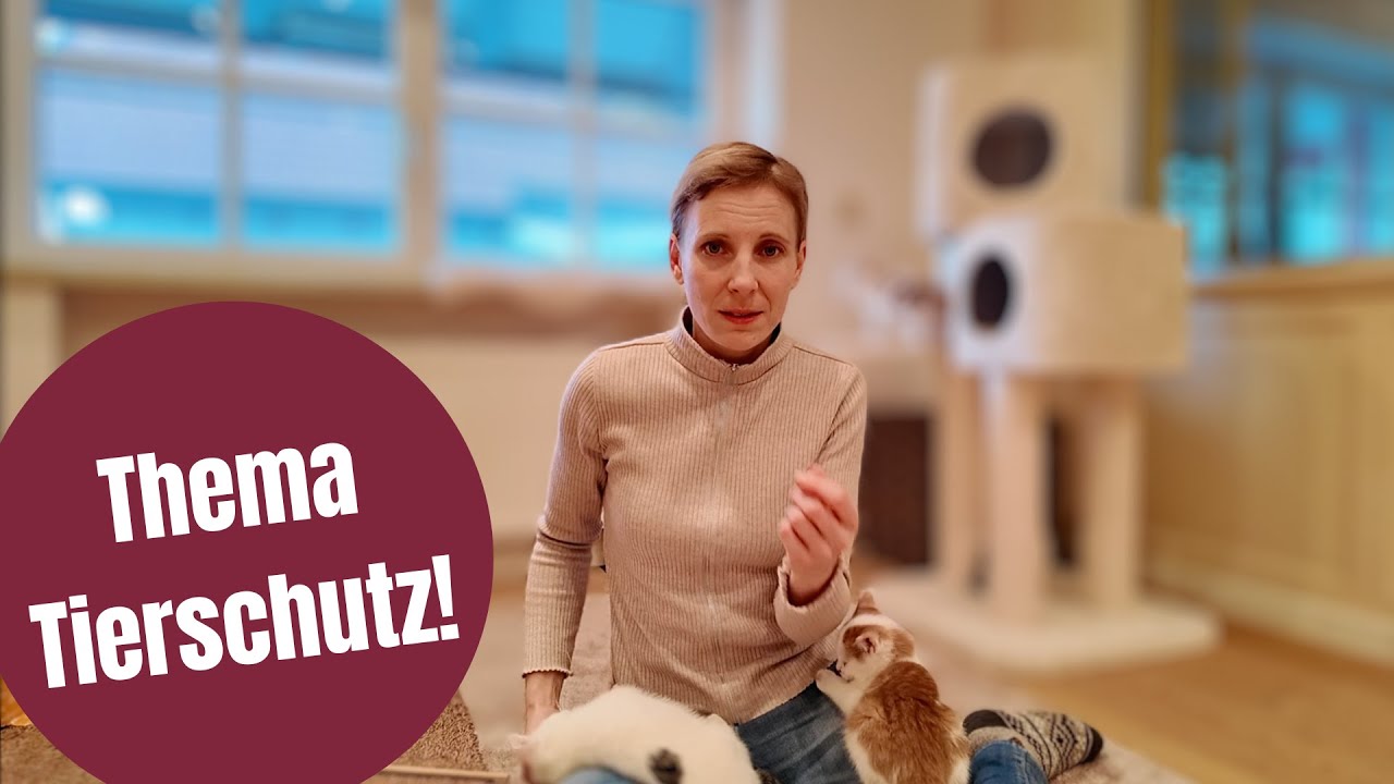 Meine Gedanken zum Thema Tierschutz