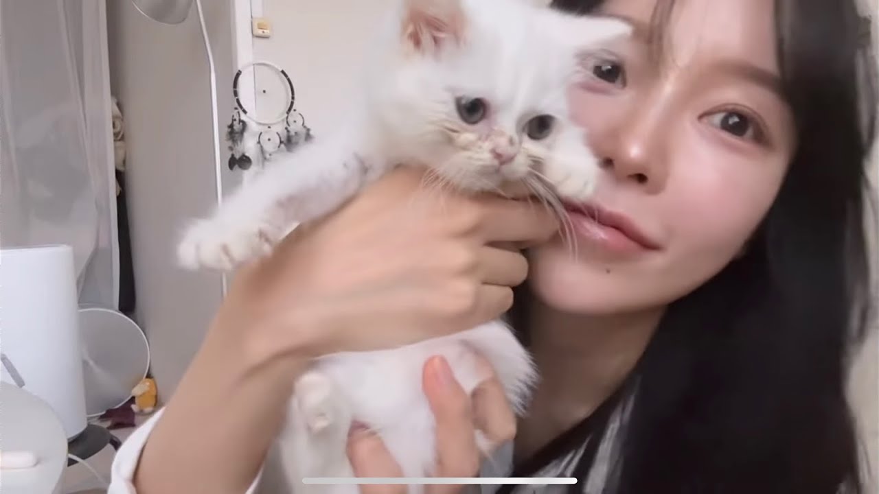 미숙아 아깽이 살찌우기•숨만 쉬어도 귀여운 일상•드디어 이름이 생겼어요!