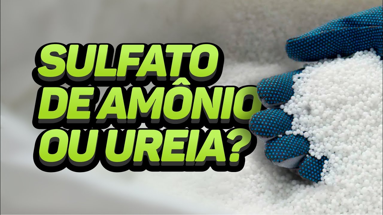 SULFATO DE AMÔNIO VS. UREIA: QUAL FONTE DE NITROGÊNIO A PLANTA ABSORVE MELHOR?