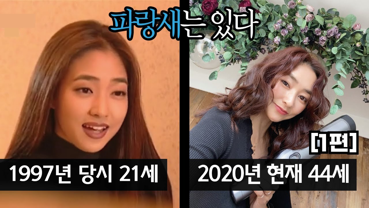 [1편] 1997년 주말연속극 &lsquo;파랑새는 있다&rsquo; | 출연진의 과거와 현재 모습 | 아재 TV