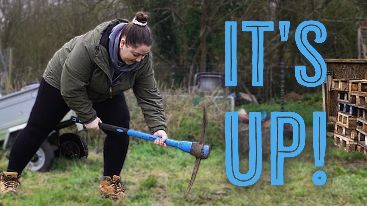 Getting Into The Swing Of It | The Tiny Garden